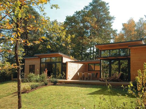 Center Parcs Les Hauts de Bruyères - Loir-et-Cher - Afbeelding N°47
