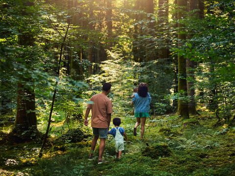 Center Parcs Les Trois Forêts - Moselle - Afbeelding N°4