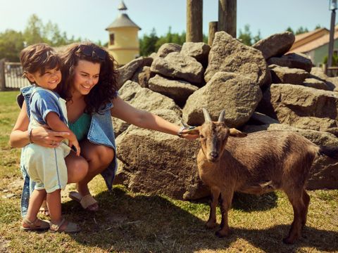 Center Parcs Les Trois Forêts - Moselle - Afbeelding N°3