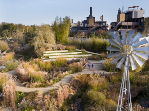Center Parcs Villages Nature Paris - Seine-et-Marne - Afbeelding N°56