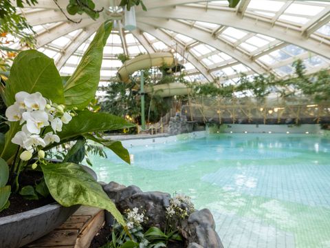 Center Parcs De Huttenheugte - Coevorden - Afbeelding N°36