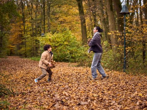 Center Parcs De Huttenheugte - Coevorden - Afbeelding N°2