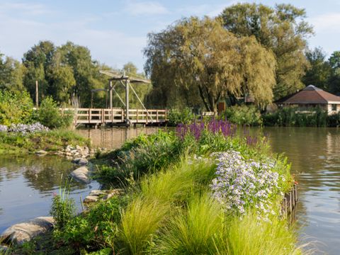 Center Parcs De Huttenheugte - Coevorden - Afbeelding N°43