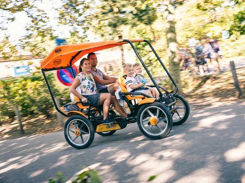 Landal Bospark De Schaapskooi - Epe - Afbeelding N°2