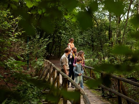 Center Parcs Het Meerdal - Horst an der Maas