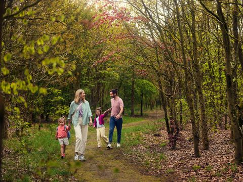 Center Parcs Het Meerdal - Horst an der Maas - Afbeelding N°0
