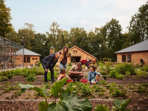 Center Parcs Het Meerdal - Horst an der Maas - Afbeelding N°4