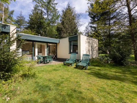 Center Parcs Het Meerdal - Camping Horst aan de Maas - Afbeelding N°0