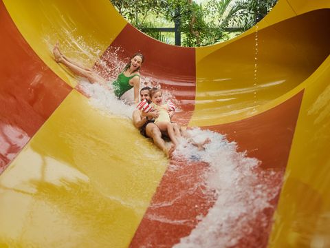 Center Parcs Het Meerdal - Horst an der Maas - Afbeelding N°2