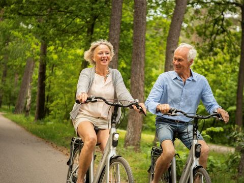 Landal Heideheuvel - Apeldoorn