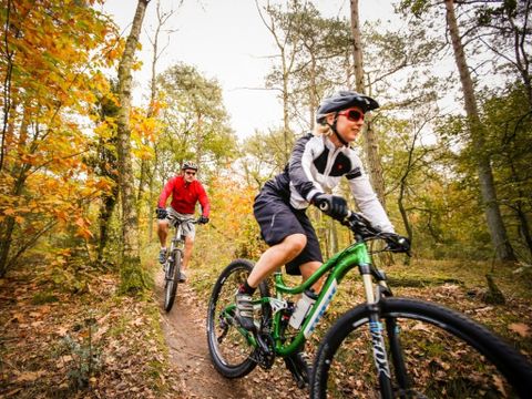 Landal Aelderholt - Coevorden