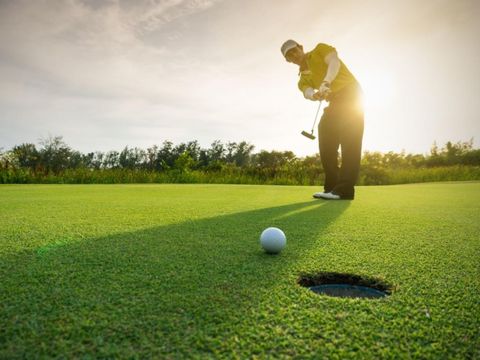 Landal Aelderholt - Coevorden