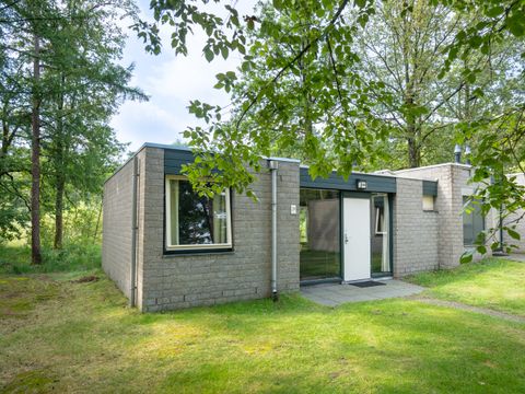 Landal Het Vennenbos - Bladel - Afbeelding N°0