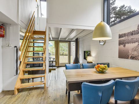 Landal Het Vennenbos - Bladel - Afbeelding N°5