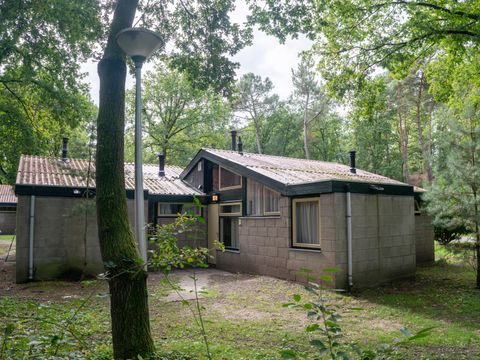 Landal De Lommerbergen - Beesel - Afbeelding N°0