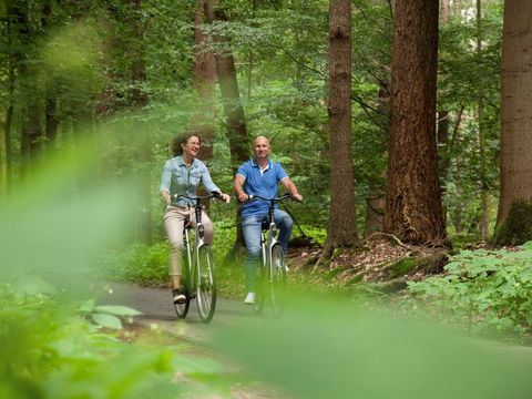 Landal Landgoed 't Loo - Oldebroek