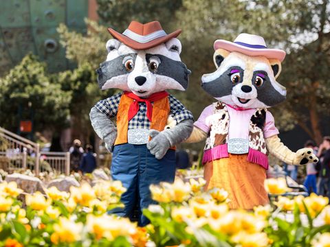 Attractie- & Vakantiepark Slagharen - Hardenberg - Afbeelding N°5