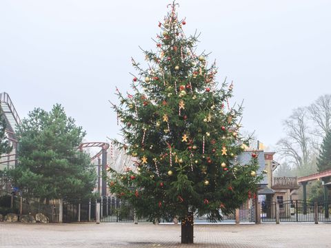 Attractie- & Vakantiepark Slagharen - Hardenberg - Afbeelding N°5