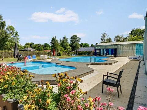 't Hooge Holt - Camping Hardenberg