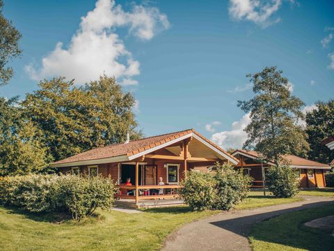 't Hooge Holt - Hardenberg - Afbeelding N°0