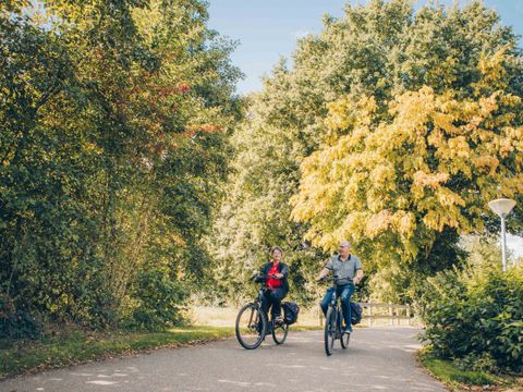 't Hooge Holt - Hardenberg