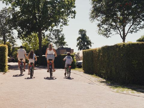 Villapark De Paardekreek - Noord-Beveland - Afbeelding N°2