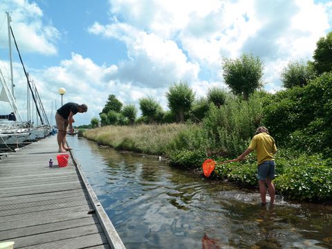 Villapark De Paardekreek - Nord-Beveland