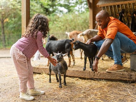 Sunparks Kempense Meren - Antwerpen - Afbeelding N°5