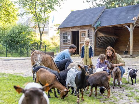 Sunparks Kempense Meren - Antwerpen