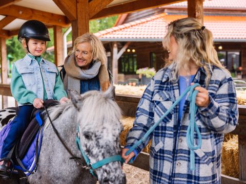 Landal Het Land van Bartje - Borger-Odoorn - Afbeelding N°2