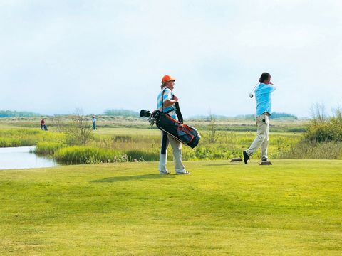 Landal Sluftervallei - Texel