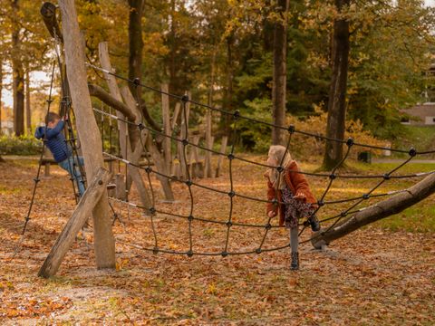 Vakantiepark Witterzomer - Assen - Afbeelding N°3