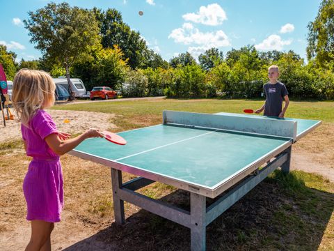 Vakantiepark Witterzomer - Assen - Afbeelding N°54