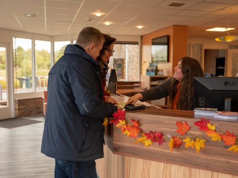 Vakantiepark Witterzomer - Assen - Afbeelding N°9