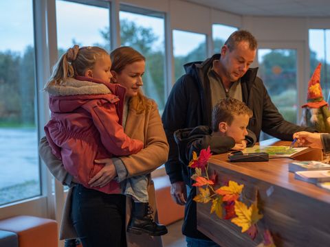 Vakantiepark Witterzomer - Assen - Afbeelding N°5