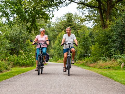 Vakantiepark Witterzomer - Assen