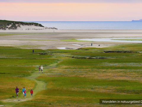 Vakantiepark De Krim Texel - Texel - Afbeelding N°32