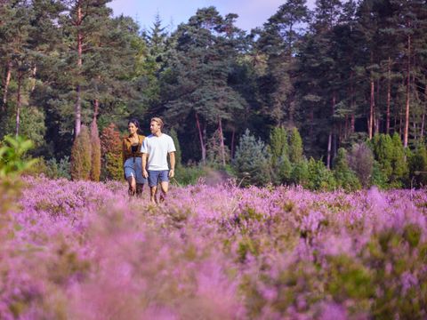 Center Parcs Bispinger Heide - Nedersaksen - Afbeelding N°39