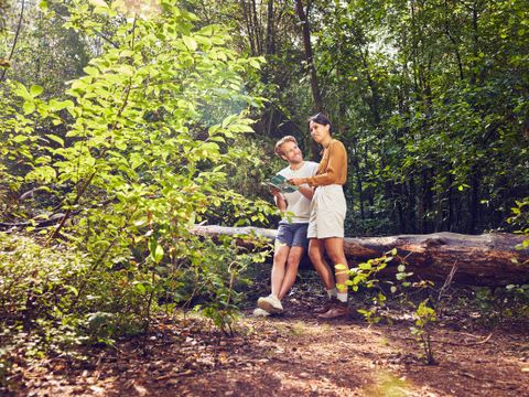 Center Parcs Bispinger Heide - Nedersaksen - Afbeelding N°38