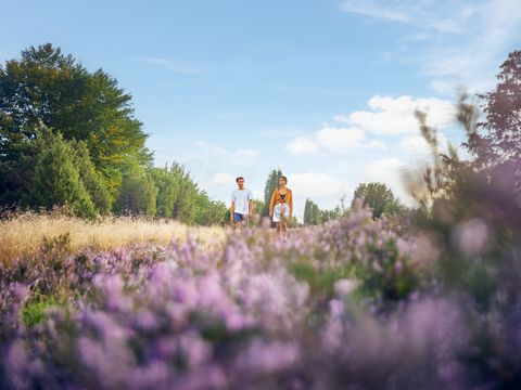 Center Parcs Bispinger Heide - Nedersaksen - Afbeelding N°11