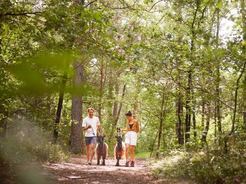 Center Parcs Bispinger Heide - Nedersaksen - Afbeelding N°16