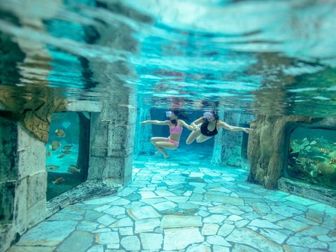 Center Parcs Het Heijderbos - Gennep - Afbeelding N°5