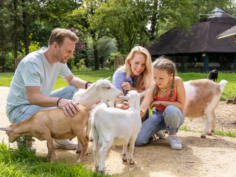 Center Parcs Het Heijderbos - Gennep - Afbeelding N°51