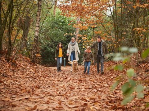 Center Parcs Het Heijderbos - Gennep - Afbeelding N°24