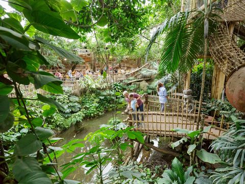 Center Parcs Het Heijderbos - Gennep - Afbeelding N°5