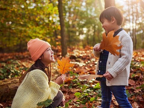Center Parcs Het Heijderbos - Gennep