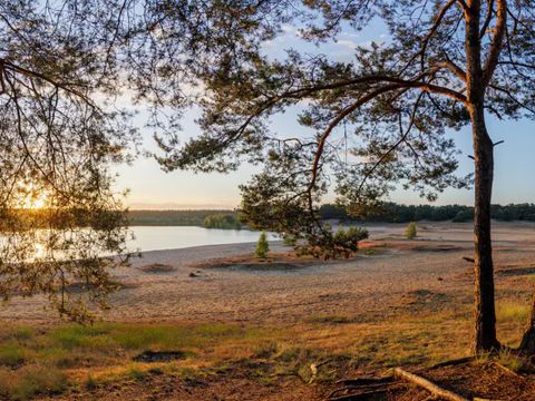 Center Parcs De Vossemeren - Belgisch Limburg - Afbeelding N°37