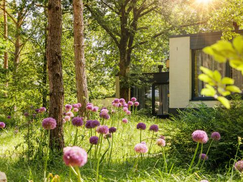 Center Parcs De Vossemeren - Belgisch Limburg - Afbeelding N°38