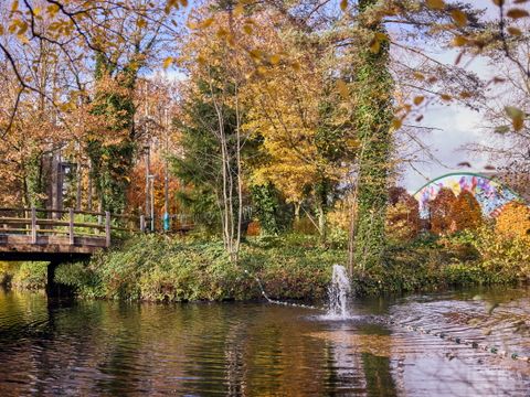 Center Parcs Park Erperheide - Belgisch Limburg - Afbeelding N°0