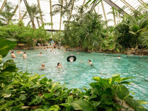 Center Parcs Park Erperheide - Belgisch Limburg - Afbeelding N°0